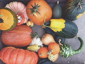 leyu乐鱼:貂蝉的小兔子好软水很多